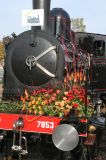 bloemen_trein